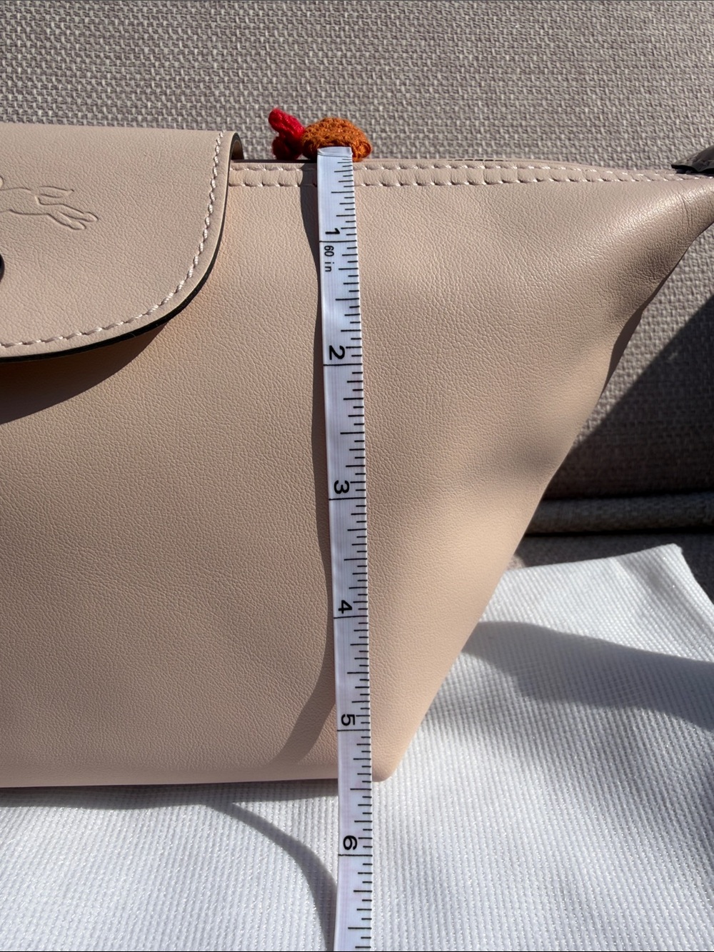 Longchamp Small Light Pink Leather Crossbody Bag Silver Hardware - Picture 14 of 14